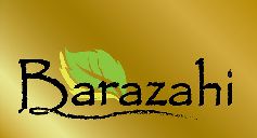 Client logo4
